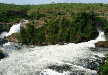 3 Days Murchison Falls Wildlife Safari