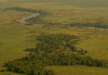 Upemba National Park
