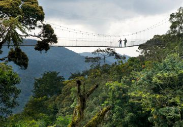 Nyungwe Forest National Park