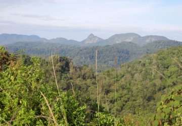 Kahuzi Biega National Park