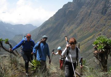 Rwenzori Mountains National Park