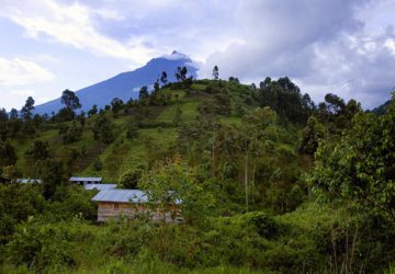 Virunga National Park