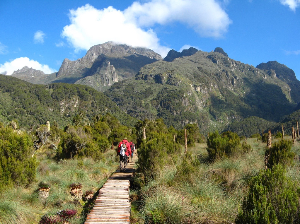 What to expect when hiking the Rwenzori Mountains in Uganda