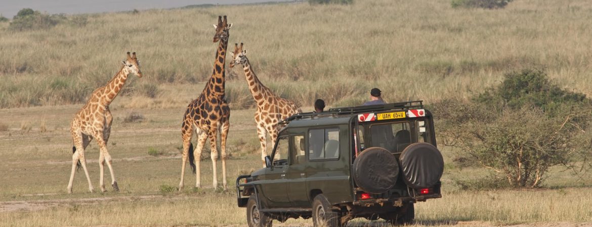 Top Uganda Safari Activities