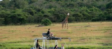  Major Activities to do in Akagera National Park