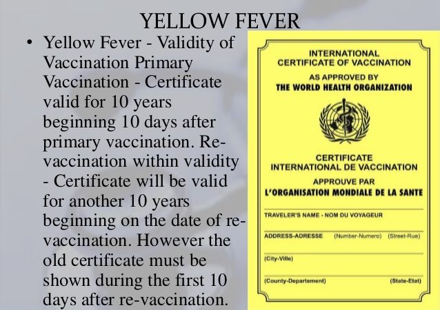 Yellow Fever Vaccination For Travelers To Uganda Rwanda And DR Congo