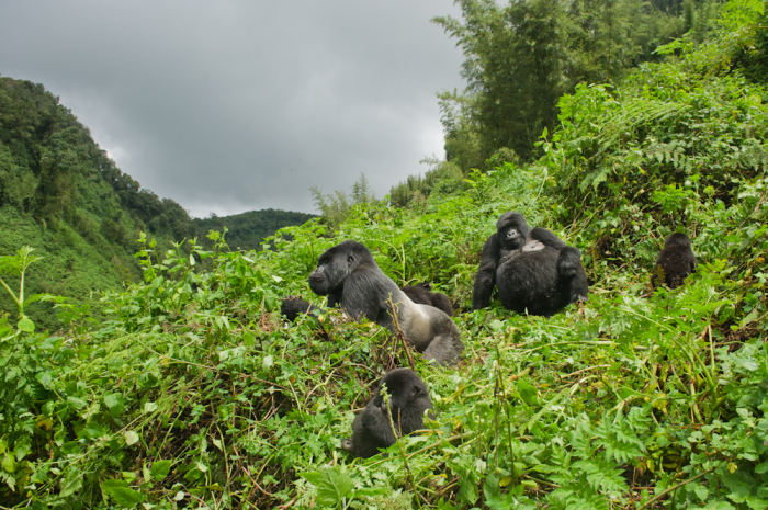  Sustainable Travel Tips to Rwanda