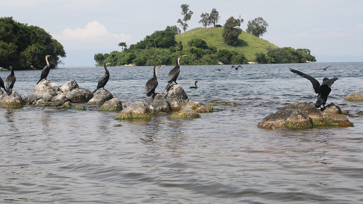 Exploring Lake Kivu