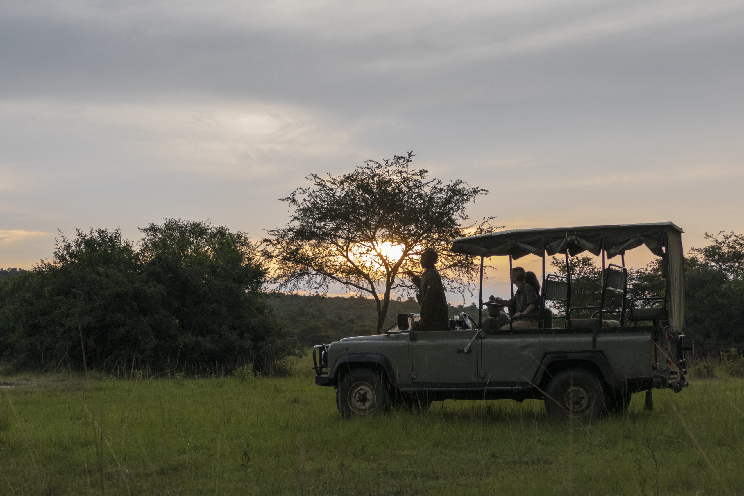 Recommended Parks For Night Game Drives in Uganda