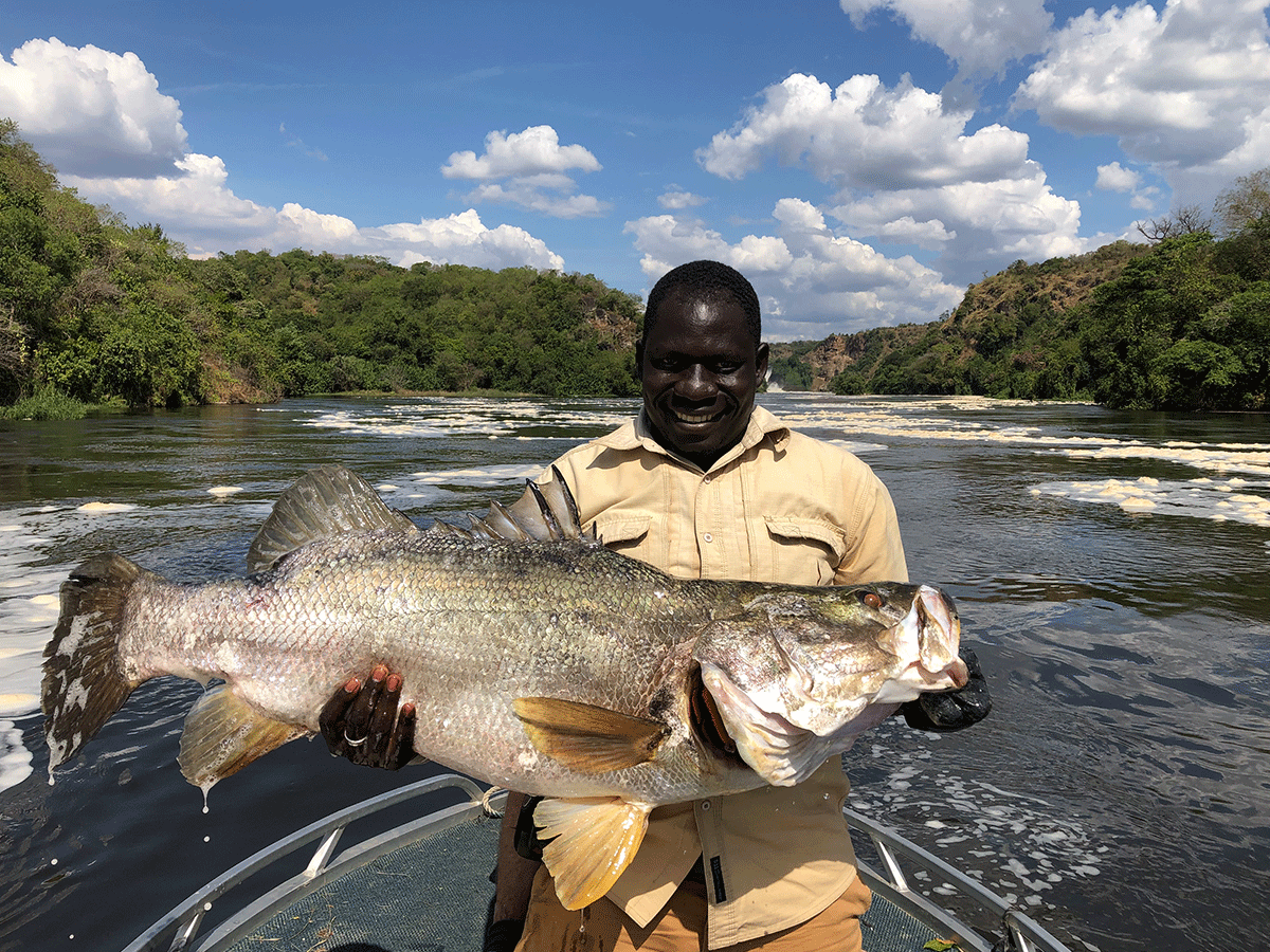 Reasons to visit Murchison Falls National Park