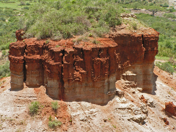 A Tour to Olduvai Gorge of Tanzania