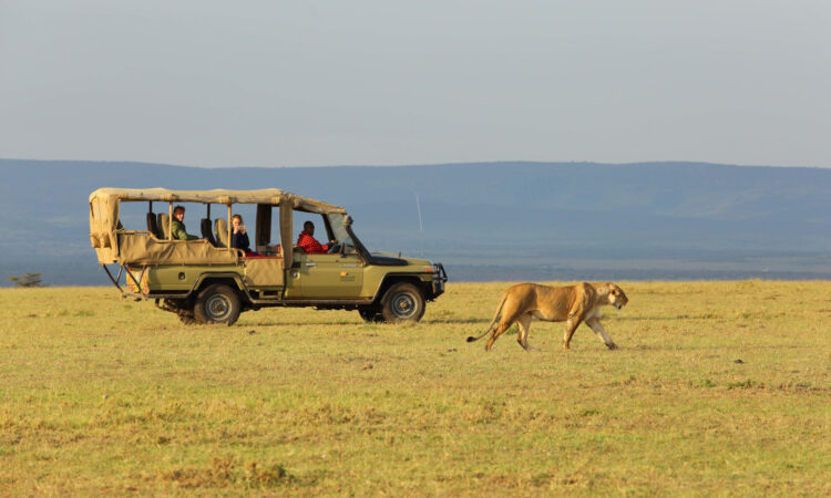 A day on an East African safari