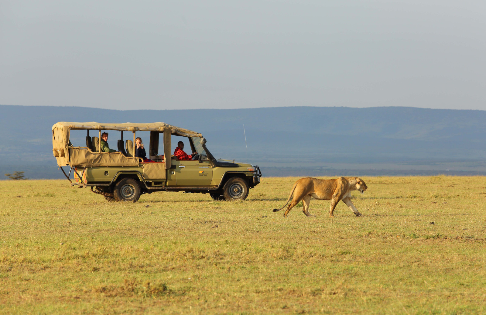 A day on an East African safari