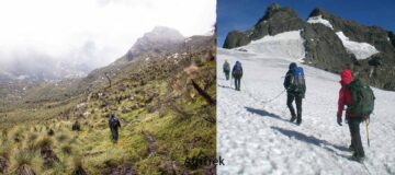 What to expect when hiking the Rwenzori Mountains in Uganda