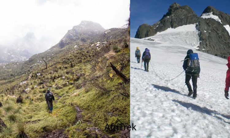 What to expect when hiking the Rwenzori Mountains in Uganda