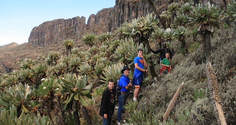 4 Days Mt Elgon Hiking Tour