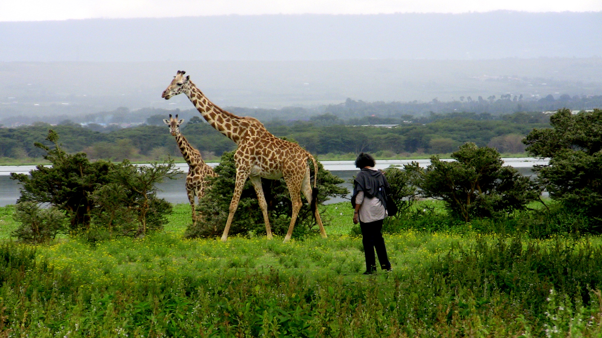 14 Days Rwanda and Kenya Safari