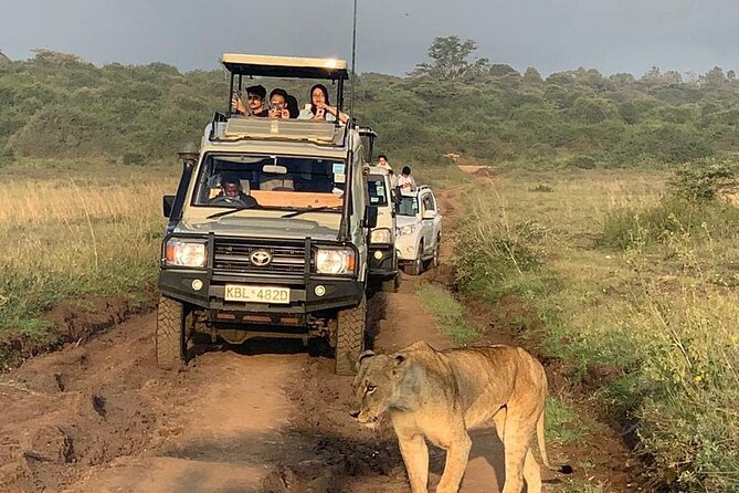 When is the best time to visit Nairobi National Park?