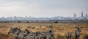 When is the best time to visit Nairobi National Park?