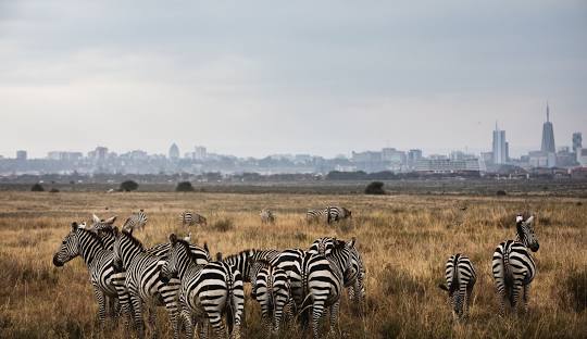 When is the best time to visit Nairobi National Park?