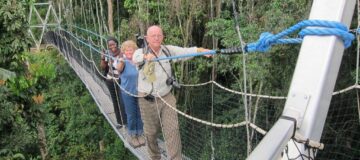 The Uwinka Overlook in Nyungwe Forest National Park