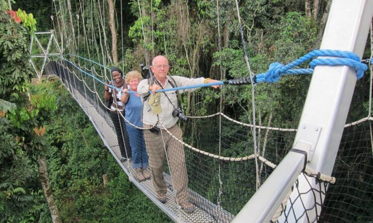 The Uwinka Overlook in Nyungwe Forest National Park