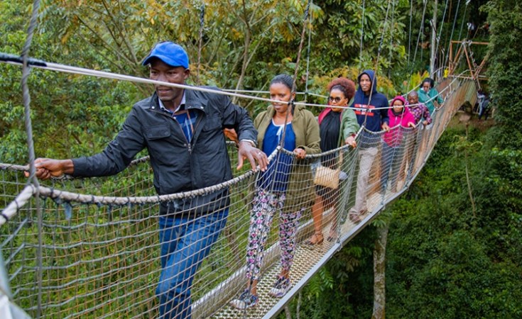 The Uwinka Overlook in Nyungwe Forest National Park